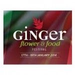 Noosa Resort accommodation for Ginger festival